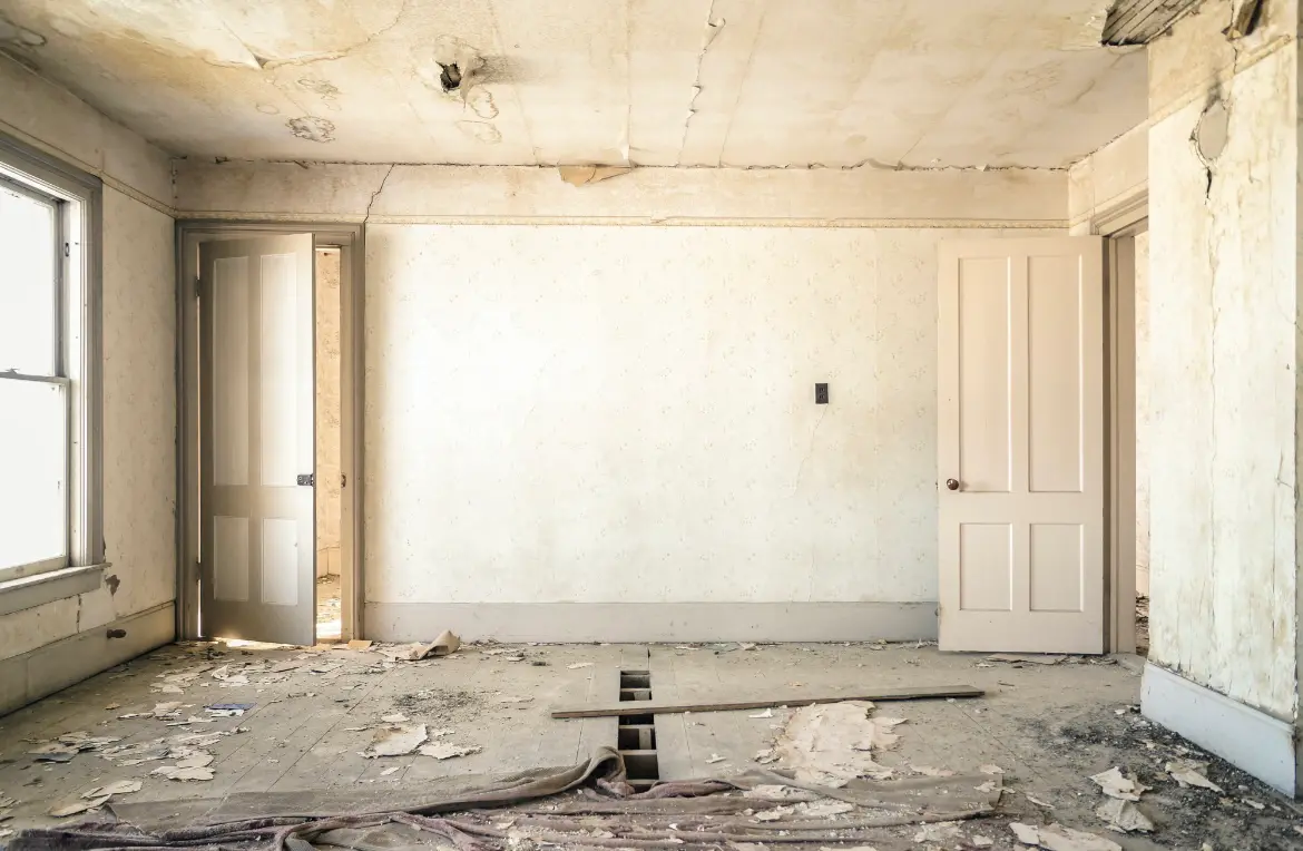 Waste disposal crew managing a cleanout project in Grosse Ile